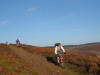 Codhill Heights bridleway