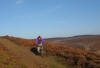 Codhill Heights bridleway