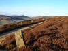 Looking North along Bilsdale