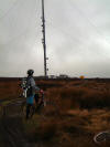 Bilsdale Mast