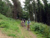 Guisborough Woods