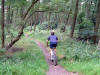 All downhill from here, Guisborough Woods.