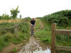 Approaching Roseberry Common from Guisborough Woods