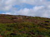 Approaching Armouth Wath