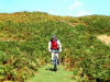 Coming down Kildale Moor into Baysdale