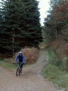 Clain Woods