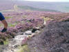 Cold Moor singletrack