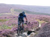 Cold Moor singletrack