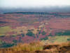 Scot Crags, Scugdale