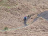 The Cringle Moor singletrack coming from Lordstones