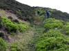 12th May 2009. "Make way cyclist coming through"  Descending to East Bank Plantation