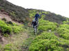 12th May 2009. Descending to East Bank Plantation