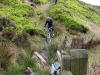 12th May 2009. Descending to East Bank Plantation