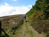 18th May 2009. Guisborough Woods before the monsoon