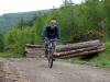 18th May 2009. Guisborough Woods