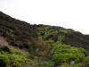 12th May 2009. Descending to East Bank Plantation